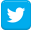 twitter icon